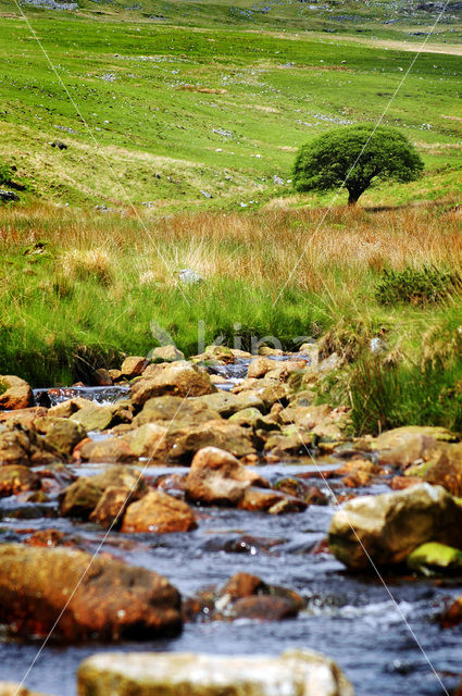 Cambrian Mountains