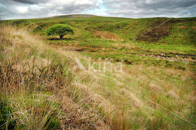 Cambrian Mountains