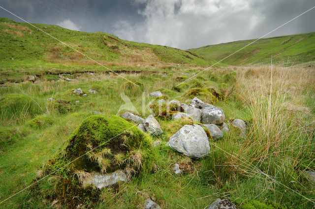 Cambrian Mountains