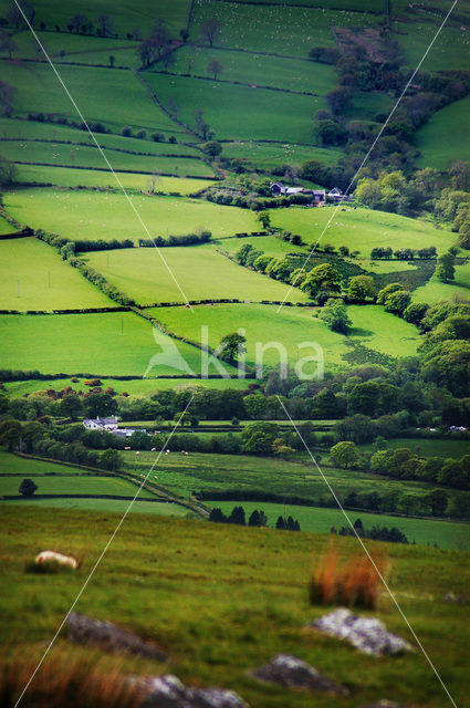 Cambrian Mountains