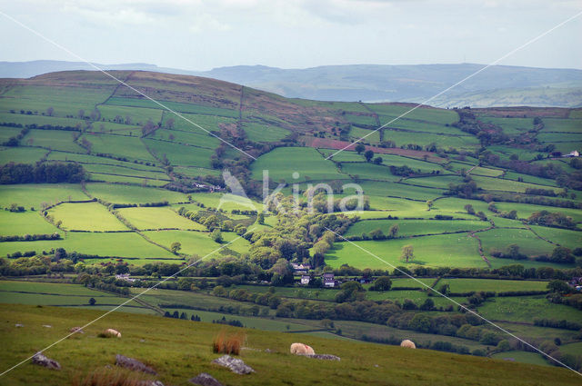 Cambrian Mountains