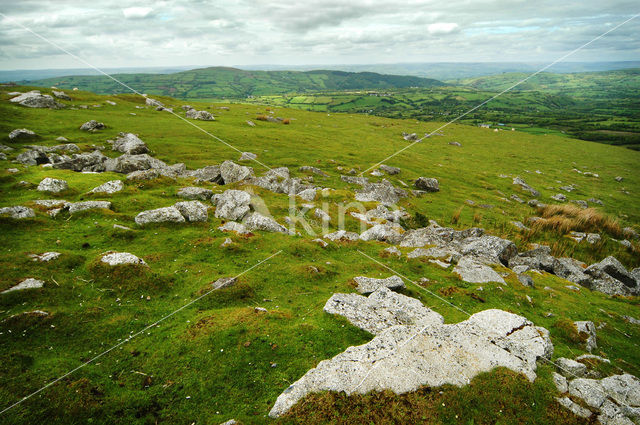 Cambrian Mountains