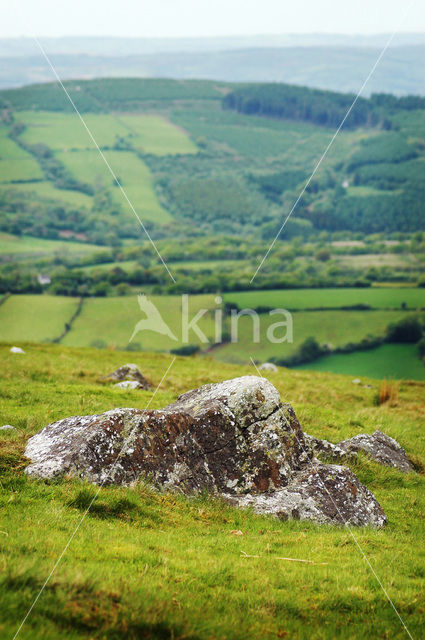 Cambrian Mountains