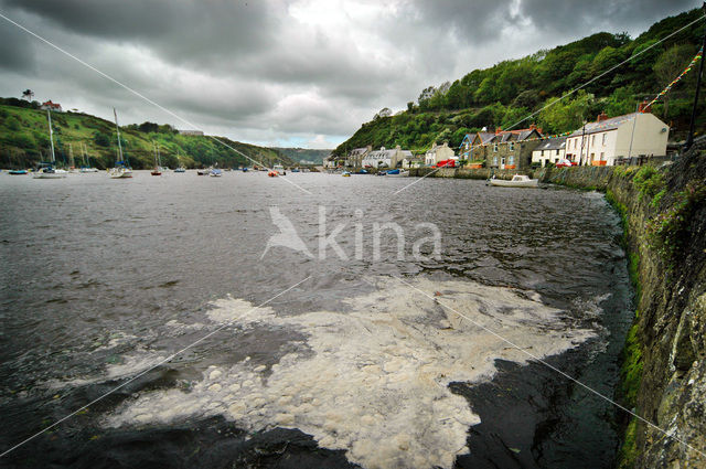 Fishguard