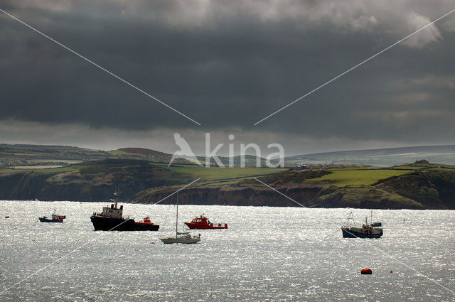 Fishguard