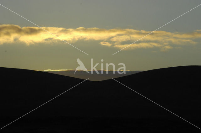 Fuerteventura