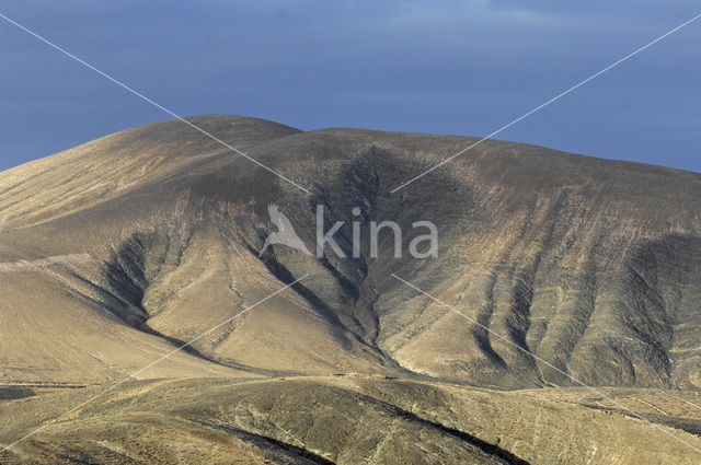 Fuerteventura