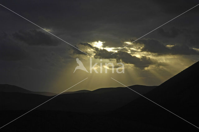 Fuerteventura