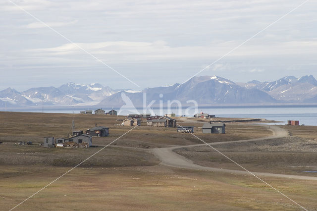 Isfjord