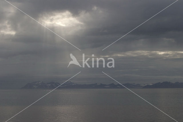 Isfjord
