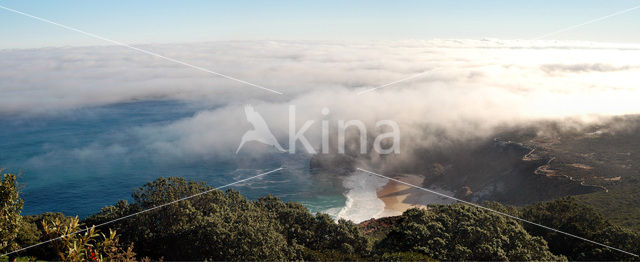 Cape of Good Hope