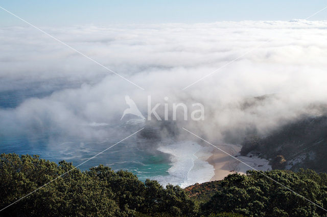 Cape of Good Hope