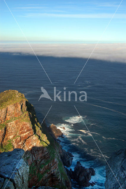 Cape of Good Hope