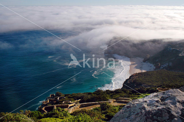 Cape of Good Hope