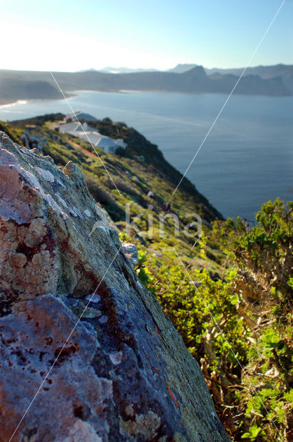 Cape of Good Hope