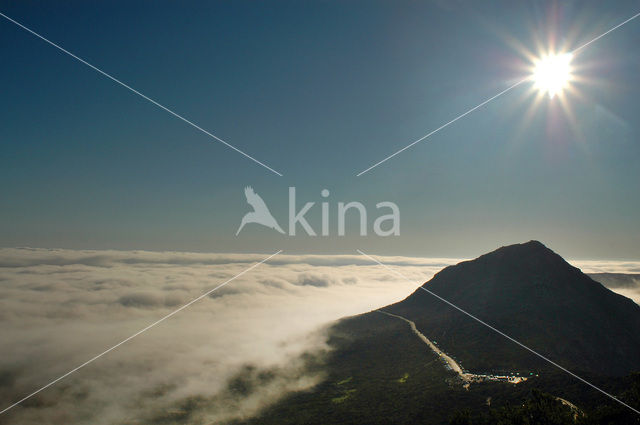 Cape of Good Hope