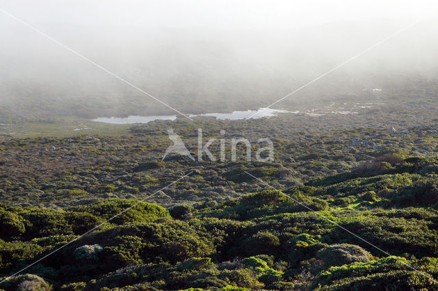 Cape of Good Hope