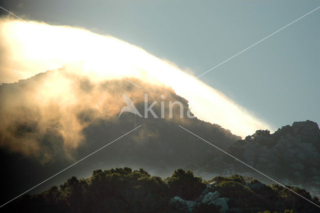 Cape of Good Hope