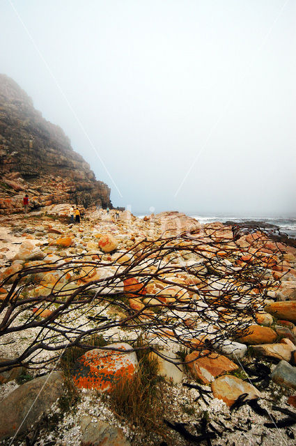 Cape of Good Hope