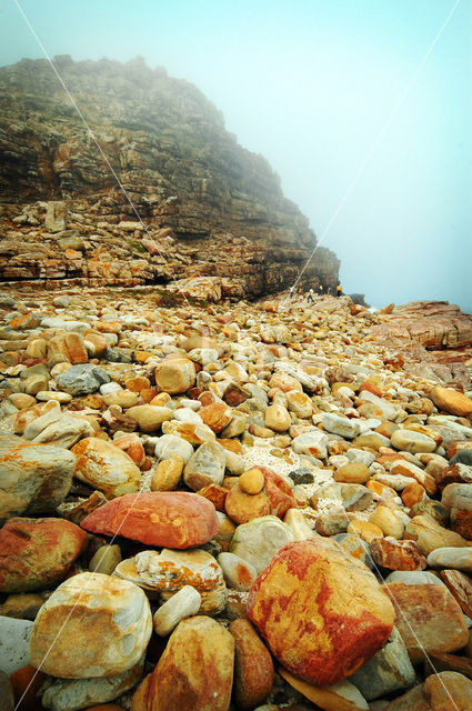 Cape of Good Hope