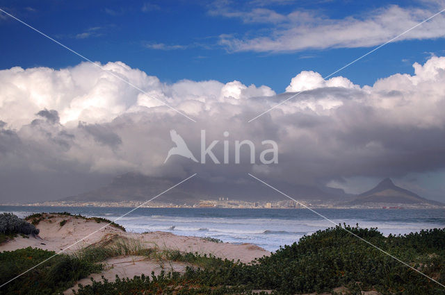 Capetown