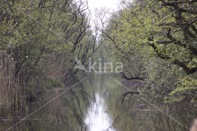 Naardermeer