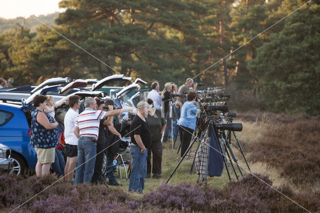 Nationaal Park De Hoge Veluwe