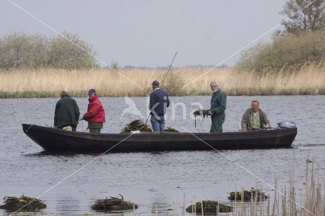 Nationaal Park Weerribben-Wieden