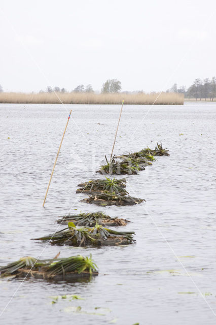 National Park Weerribben-Wieden