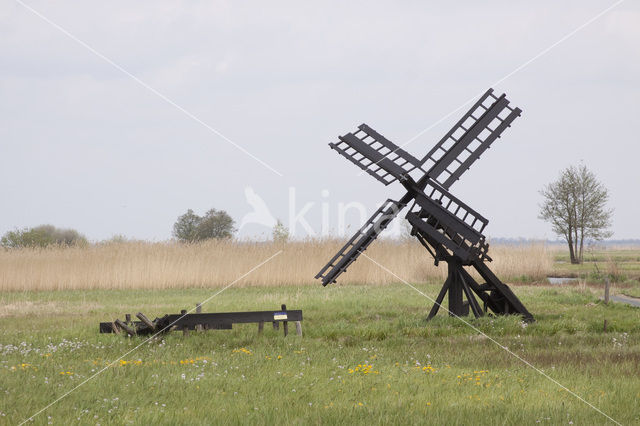 National Park Weerribben-Wieden