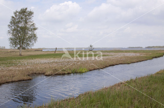 Nationaal Park Weerribben-Wieden