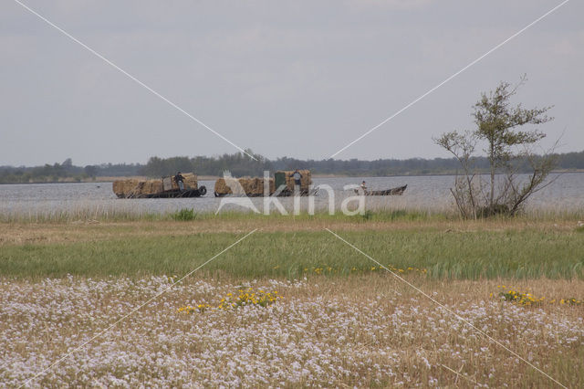 Nationaal Park Weerribben-Wieden