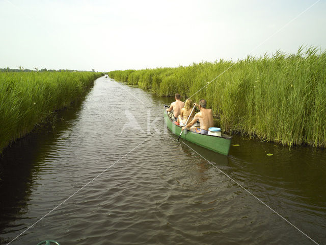 National Park Weerribben-Wieden