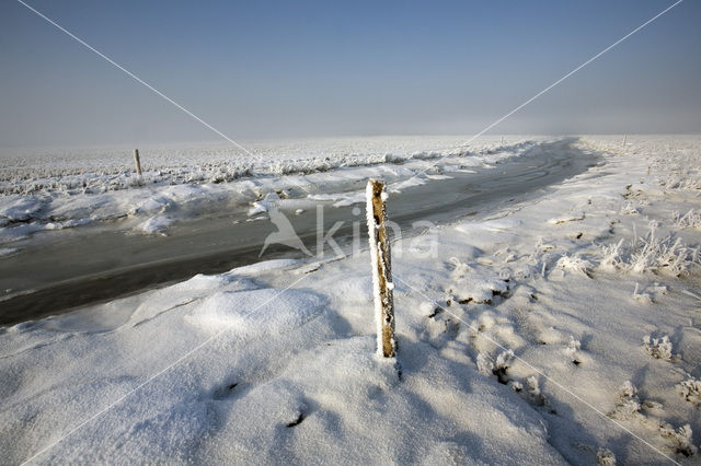 Noord Friesland Buitendijks