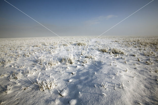 Noord Friesland Buitendijks