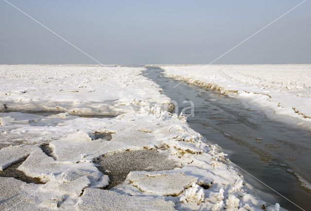 Noord Friesland Buitendijks