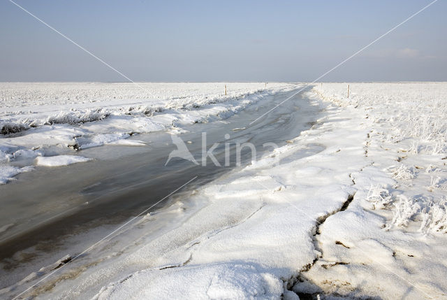 Noord Friesland Buitendijks