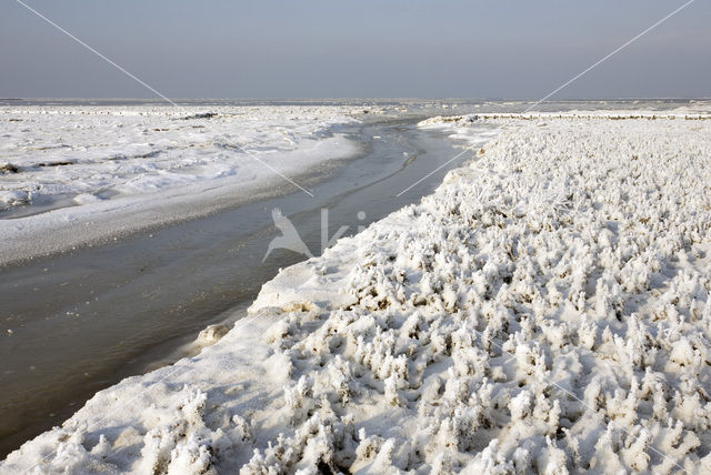 Noord Friesland Buitendijks