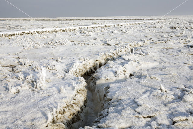 Noord Friesland Buitendijks