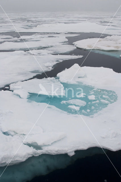 Arctic Ocean