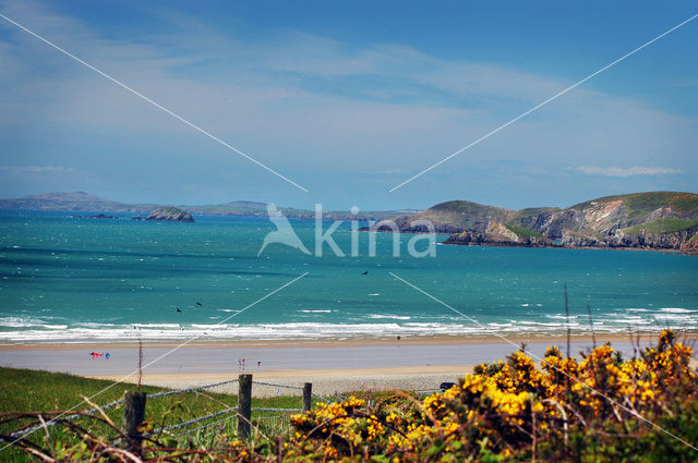 Pembrokeshire Coast National Park