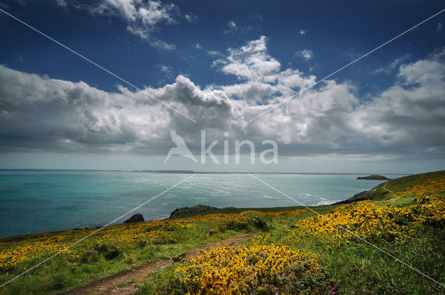 Pembrokeshire Coast National Park