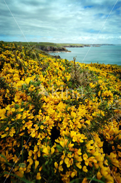 Pembrokeshire Coast National Park