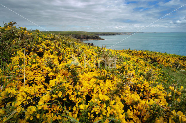 Pembrokeshire Coast National Park