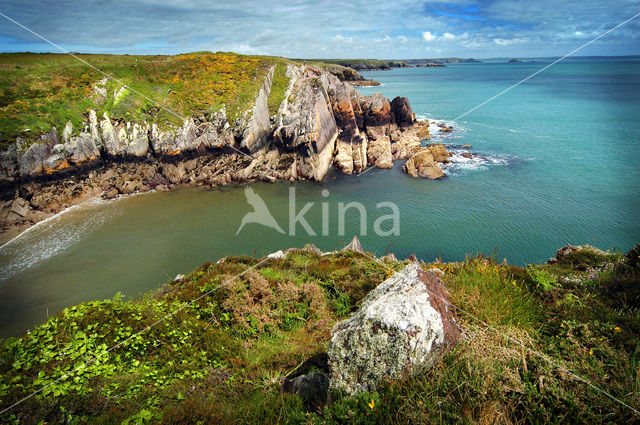 Pembrokeshire Coast National Park