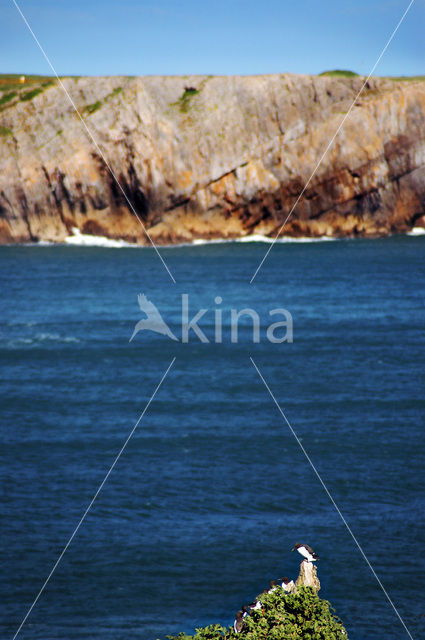 Pembrokeshire Coast National Park