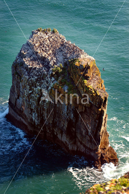 Pembrokeshire Coast National Park