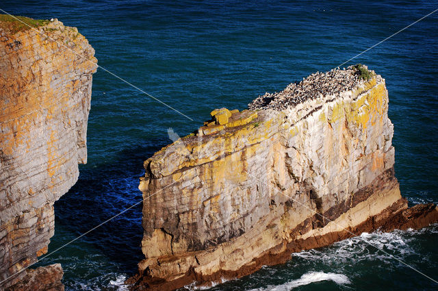 Pembrokeshire Coast National Park