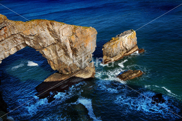 Pembrokeshire Coast National Park