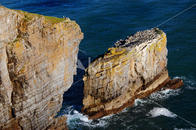 Pembrokeshire Coast National Park